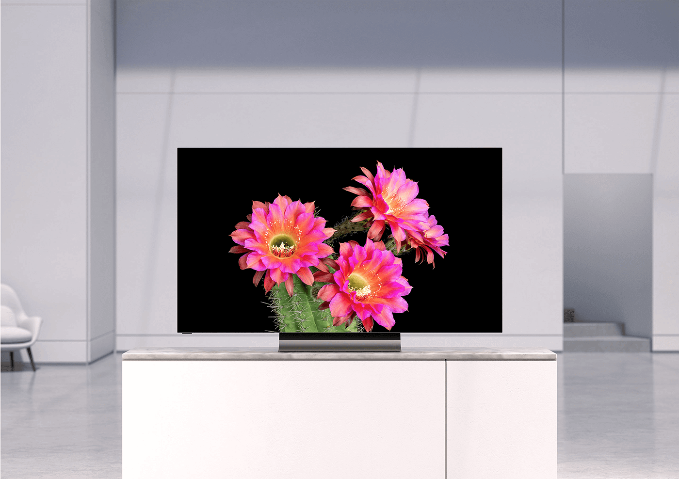 OLED 55 Class 4K HDR Smart TV