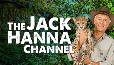 jack_hanna