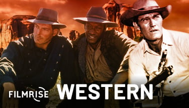 Vizio_discover_unit_Western_378x216