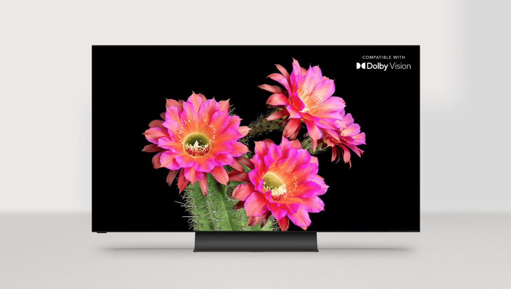 VIZIO OLED 4K Smart TVs