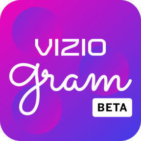 viziogram Beta Logo
