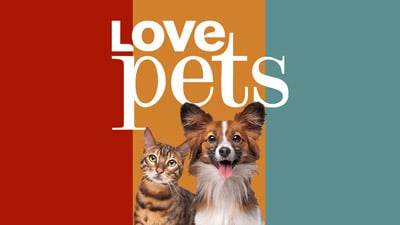 love pets