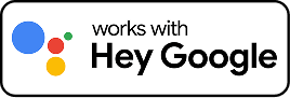 google icon