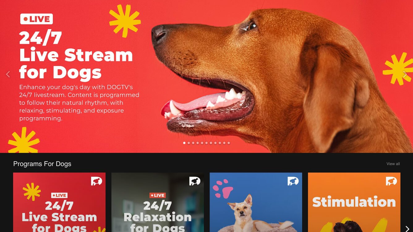 DOGTV