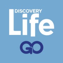 Discovery Life GO