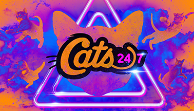 Cats-rectangle