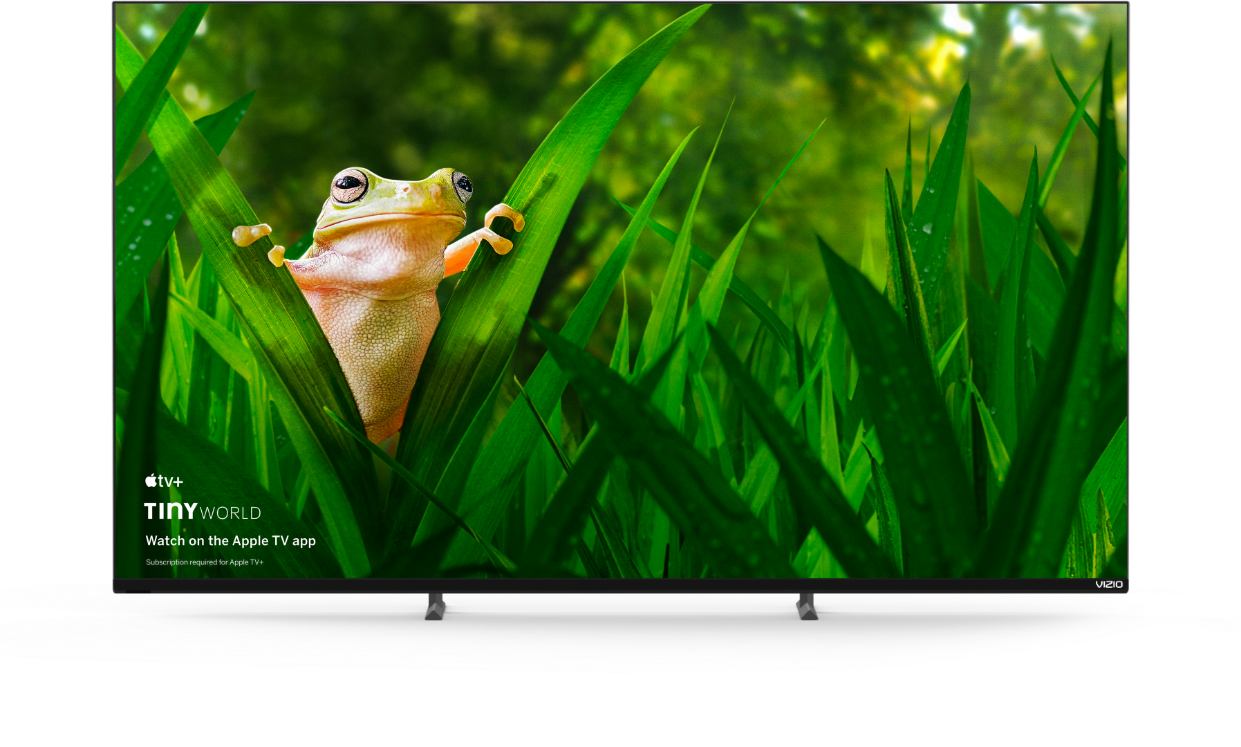 VIZIO MSeries Quantum  50 to 65 inch Smart 4K TVs  VIZIO
